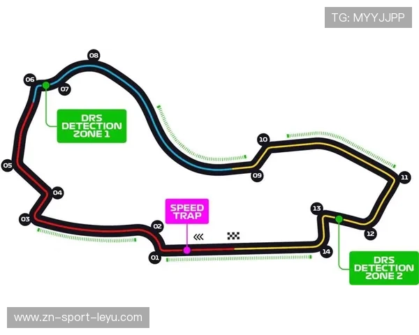 汉密尔顿利用 DRS 完成干净超越